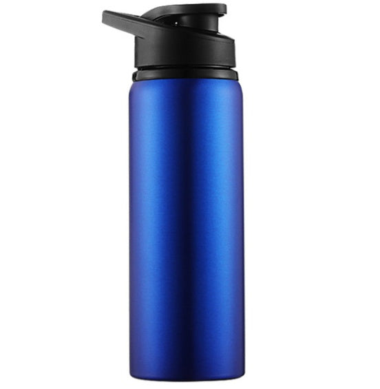 Insulated Water Bottle