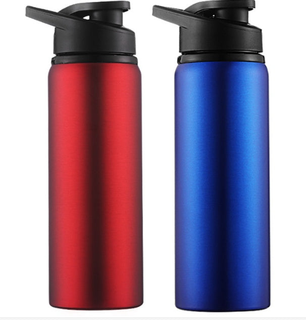 Insulated Water Bottle